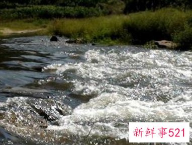 梦见家乡的河很美是什么意思