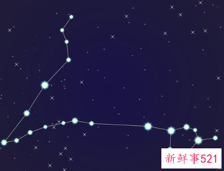12星座守护花以及花语