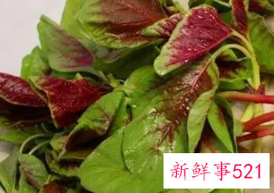 红苋菜的功效与副作用