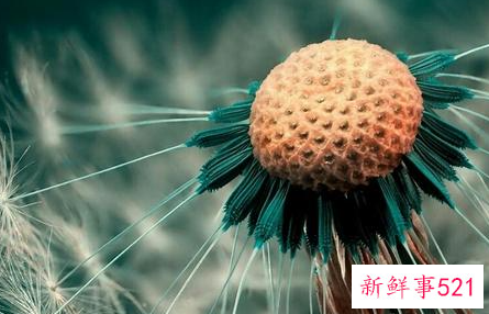 一辈子贫穷的女人八字特征