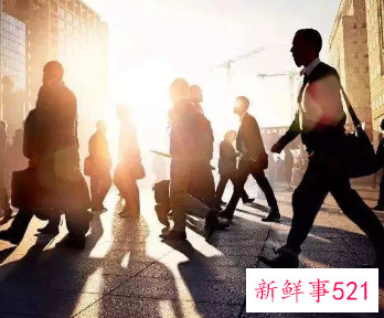 工作意向怎么填写