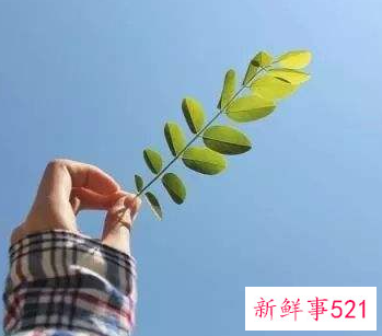 寓意好运的微信头像