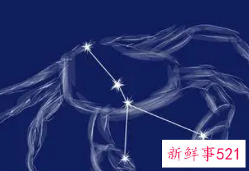 爱家庭哪个星座女生