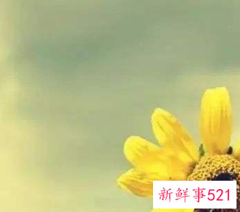 寓意好运的微信头像