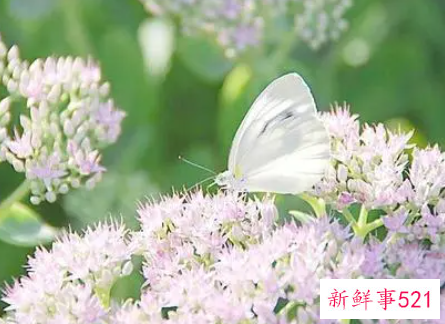 匆匆读后感1000字