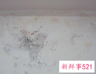 下雨家里发霉怎么办