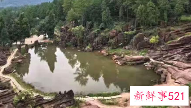 湖南旅游十大必去景区