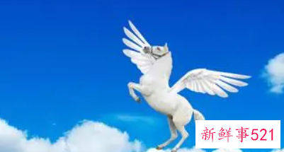 梦见飞马有什么征兆