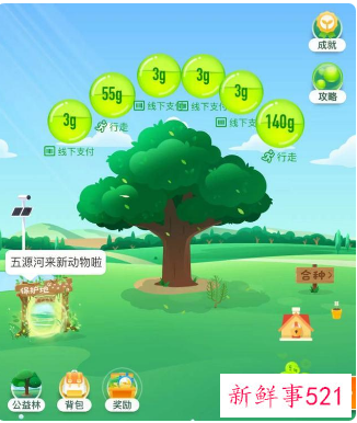 阿里巴巴推出覆盖10亿人“ 88 碳账户”