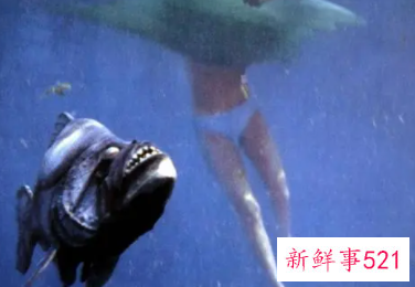 孕妇梦见食人鱼是什么意思