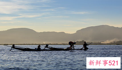 梦见自己徒手抓了几条鱼