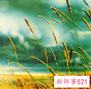 寓意好运的微信头像