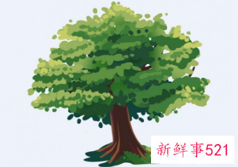 梦见绿树的寓意