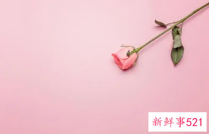 喜欢摩羯座的星座