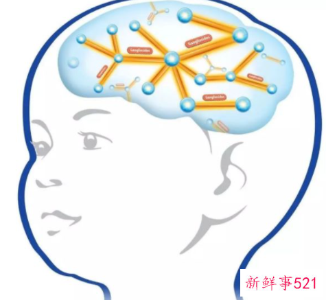 小朋友大脑什么时候发育好