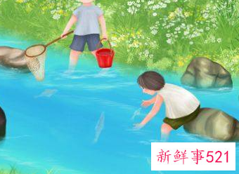 梦见去抓鱼预示
