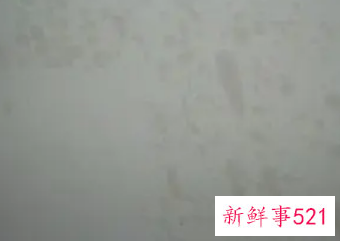 白灰墙上油污怎么去除