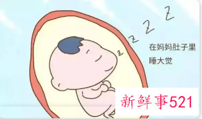 宝宝什么时候开始胎动