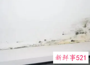 白灰墙上油污怎么去除