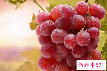 吃葡萄皮的好处和坏处