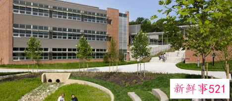 校园文明礼仪歌谣