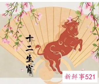 属牛女每月运势