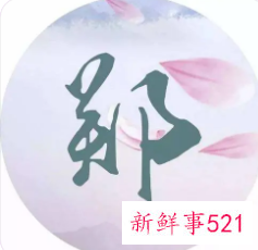 姓郑名字大全