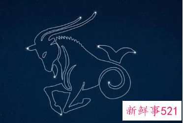 属蛇摩羯男人喜欢那种类型的女人