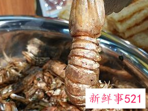 皮皮虾买回来怎么存放