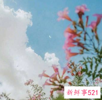 寓意好运的微信头像