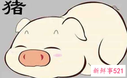 属猪带什么首饰