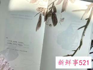 生僻字取名绝美