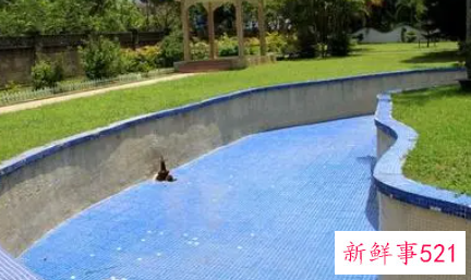 梦见游泳池没水了是什么意思