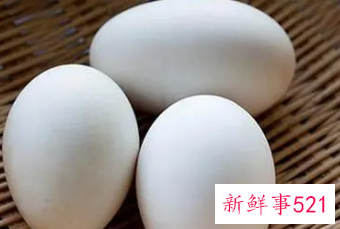 女性吃鹅蛋的功效