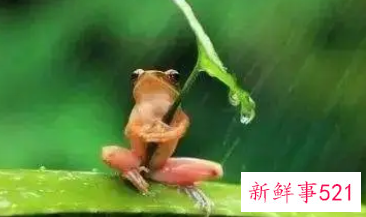 淋雨了喝冷水是为什么