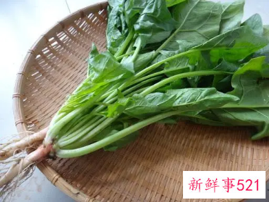 菠菜都有哪些营养价值