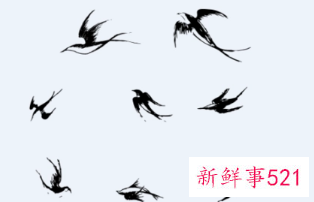 梦见燕子飞到自己身上