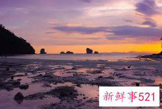 梦见美女死在海边沙滩上