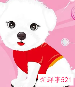 属狗人命中注定的另一半的特征