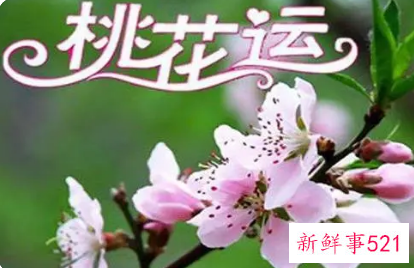 赶走你老公身边的烂桃花