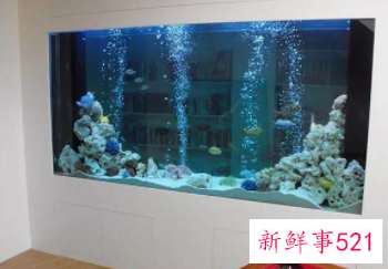 什么摆件可以化解穿堂煞