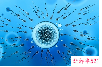 怎样能提高y精子质量和活力