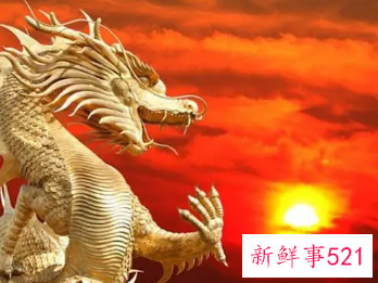 属龙客厅摆什么植物好