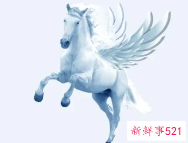 梦见飞马有什么征兆