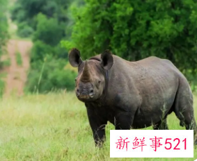 野生动物保护级别系数