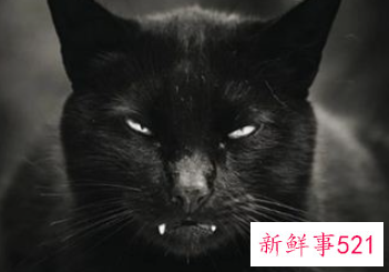 梦见一个怪兽一直追赶自己