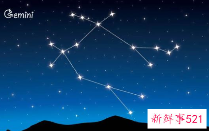 12星座守护花以及花语