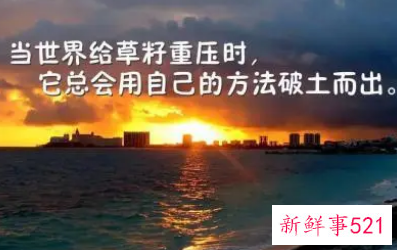 早会正能量小故事分享,鼓励工作的