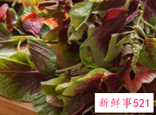 红苋菜的功效与副作用