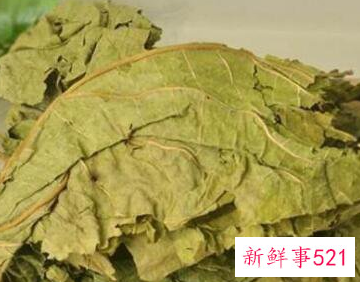 冬桑叶有什么用处